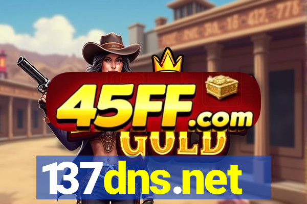 137dns.net