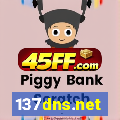137dns.net