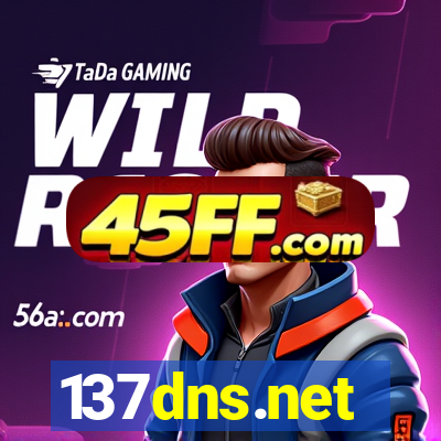 137dns.net