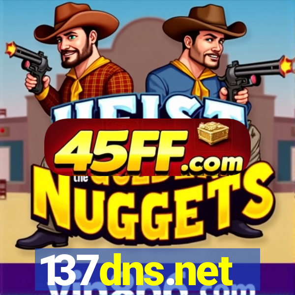 137dns.net