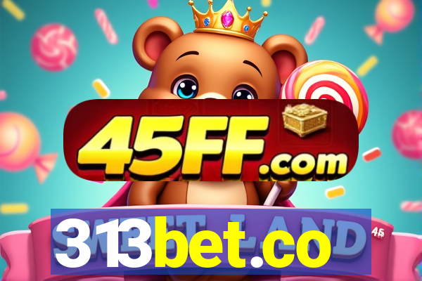 313bet.co