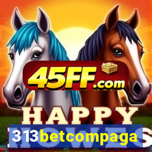 313betcompaga