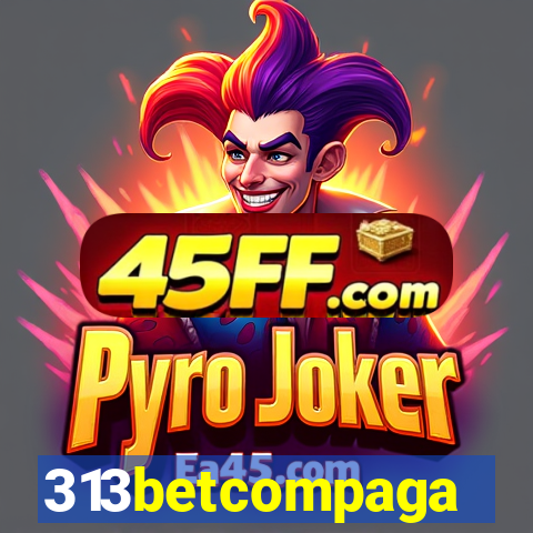 313betcompaga