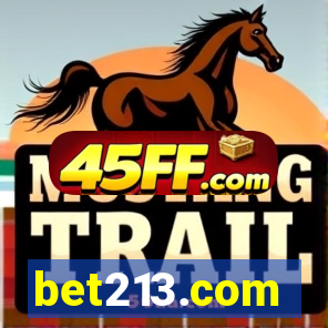 bet213.com