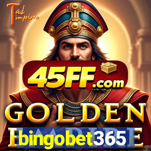 bingobet365