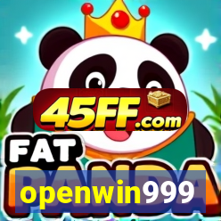openwin999
