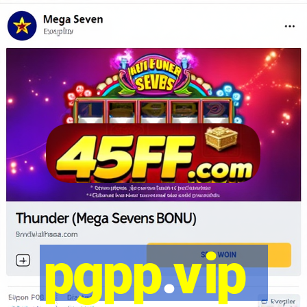 pgpp.vip