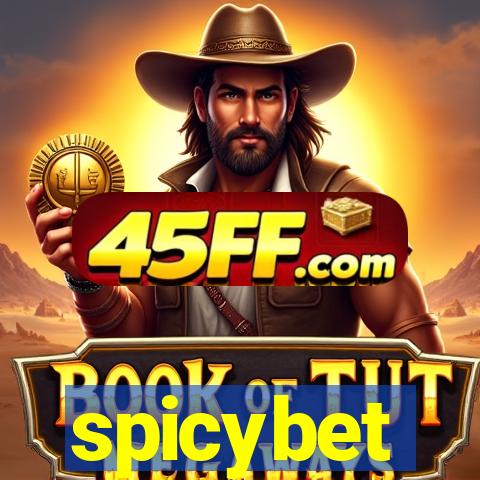 spicybet-3.com